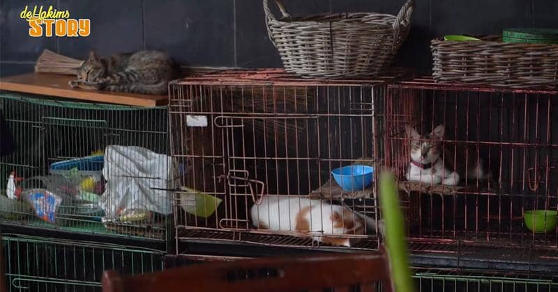 Youtube.com/deHakims Story